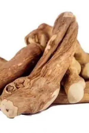 Snelle Levering Puur Fit Koffieboom Kauwwortel S